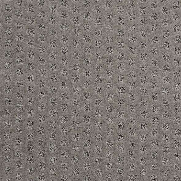 Caress - My Expression LG - Carpet Shaw Floors