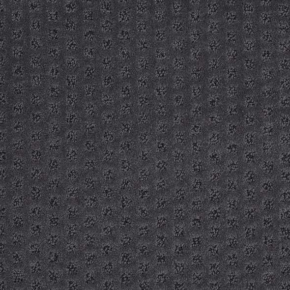 Caress - My Expression LG - Carpet Shaw Floors