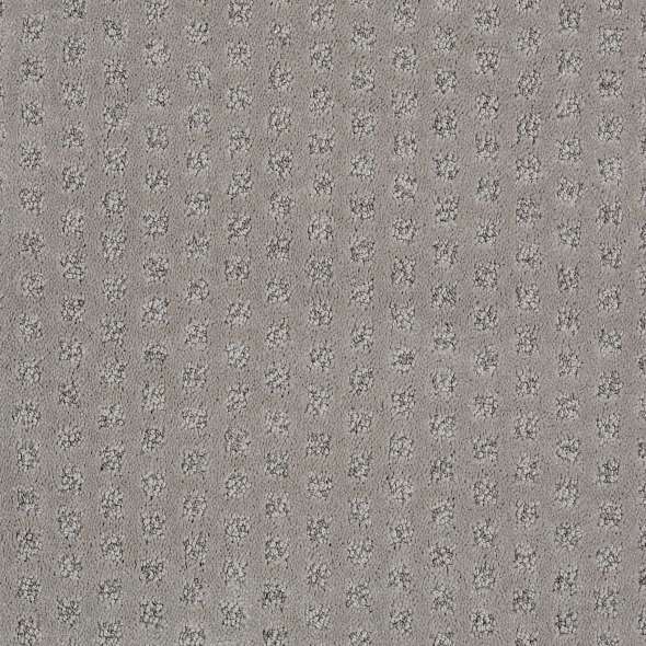 Caress - My Expression LG - Carpet Shaw Floors