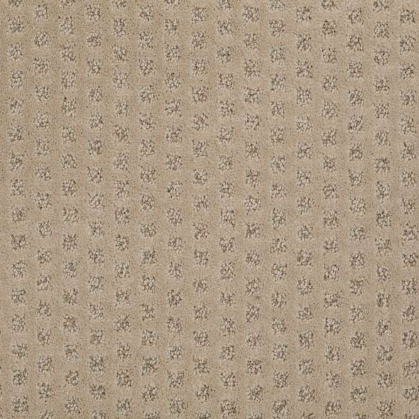 Caress - My Expression LG - Carpet Shaw Floors