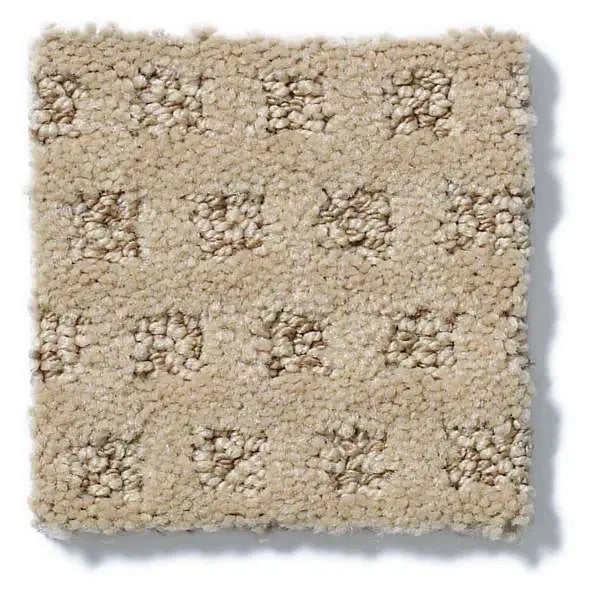 Caress - My Expression LG - Carpet Shaw Floors