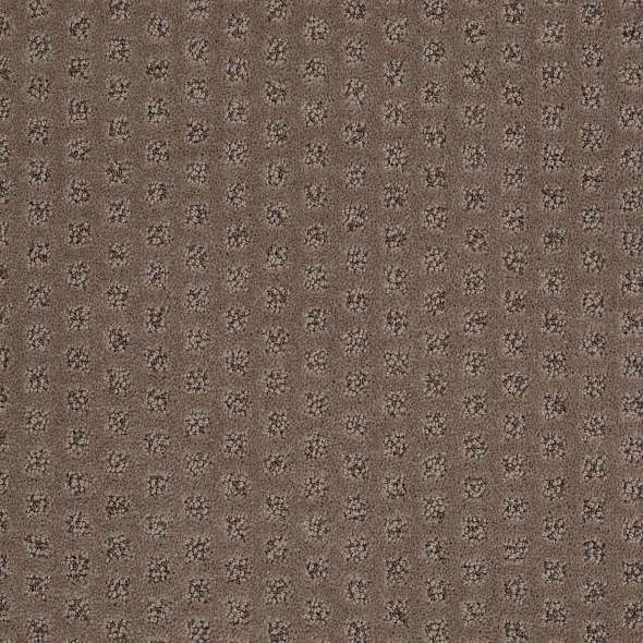 Caress - My Expression LG - Carpet Shaw Floors