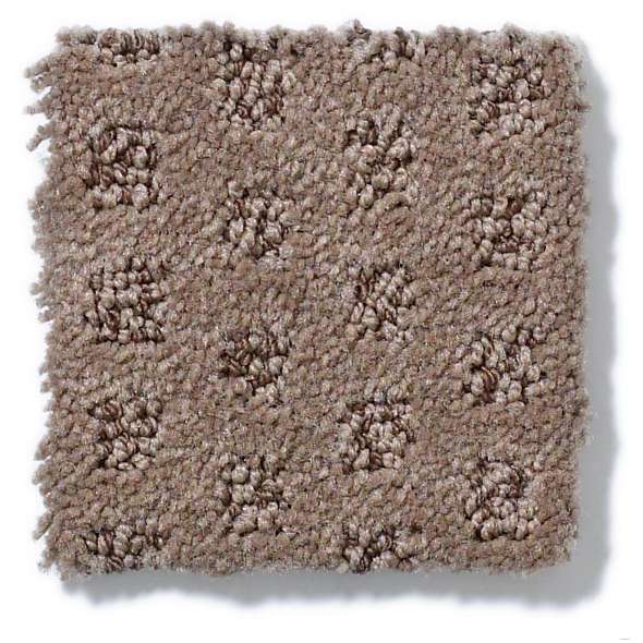 Caress - My Expression LG - Carpet Shaw Floors