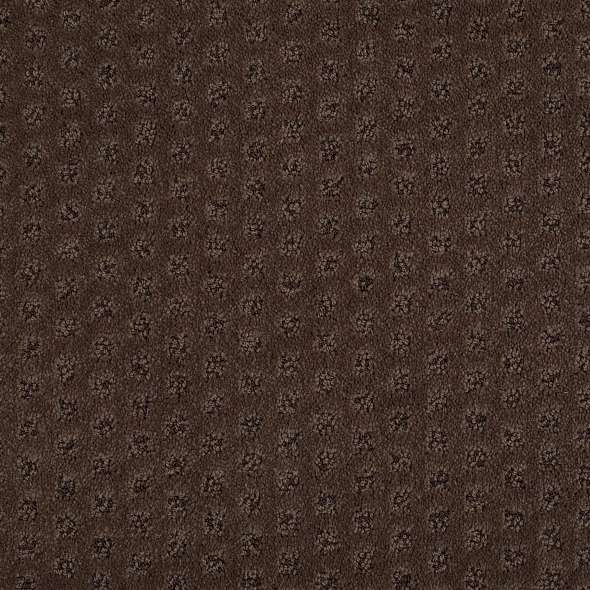 Caress - My Expression LG - Carpet Shaw Floors