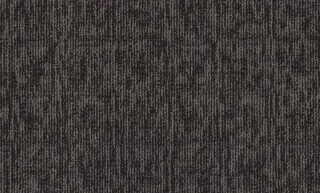 Broadloom - Elemental - Carpet Philadelphia Commercial