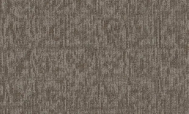 Broadloom - Elemental - Carpet Philadelphia Commercial