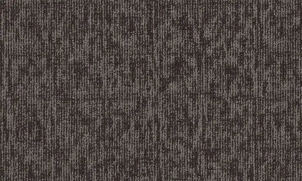 Broadloom - Elemental - Carpet Philadelphia Commercial