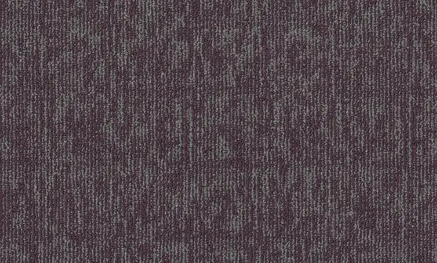 Broadloom - Elemental - Carpet Philadelphia Commercial