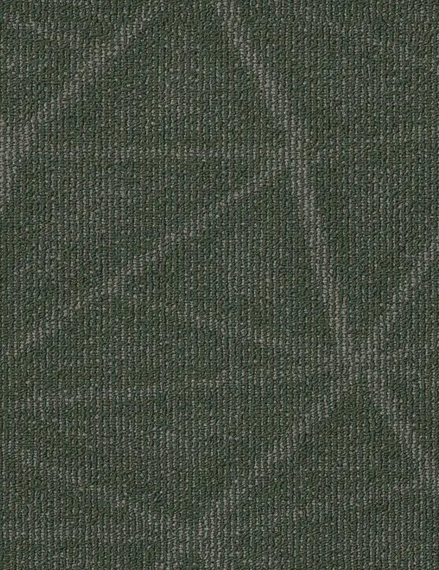 Broadloom - Engrain - Carpet Philadelphia Commercial