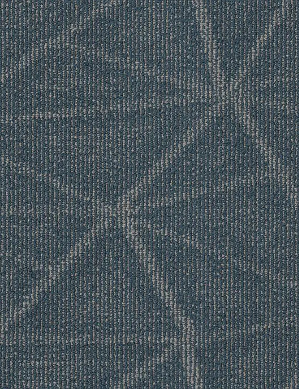 Broadloom - Refine - Carpet Philadelphia Commercial