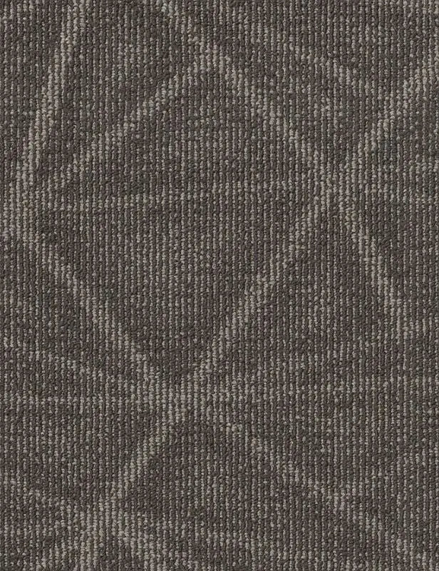Broadloom - Refine - Carpet Philadelphia Commercial