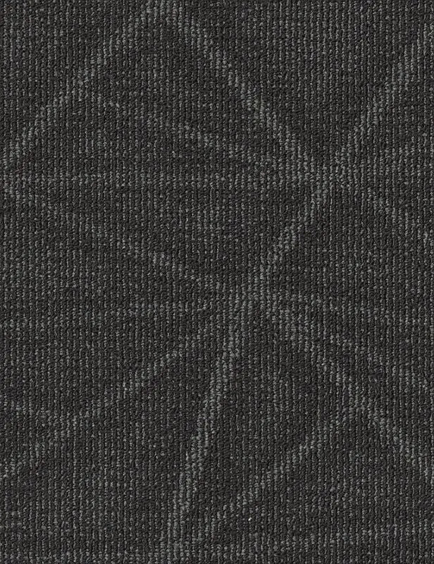 Broadloom - Engrain - Carpet Philadelphia Commercial