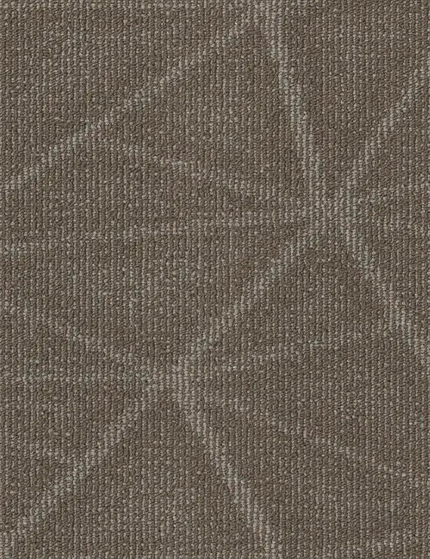 Broadloom - Refine - Carpet Philadelphia Commercial