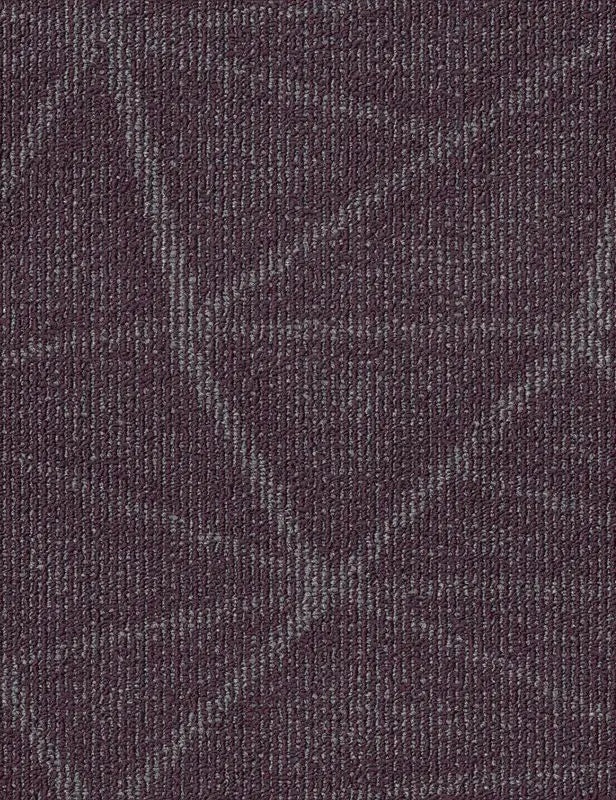 Broadloom - Engrain - Carpet Philadelphia Commercial