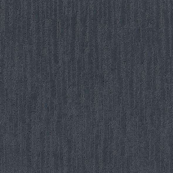 Caress - On The Horizon - Carpet Shaw Floors