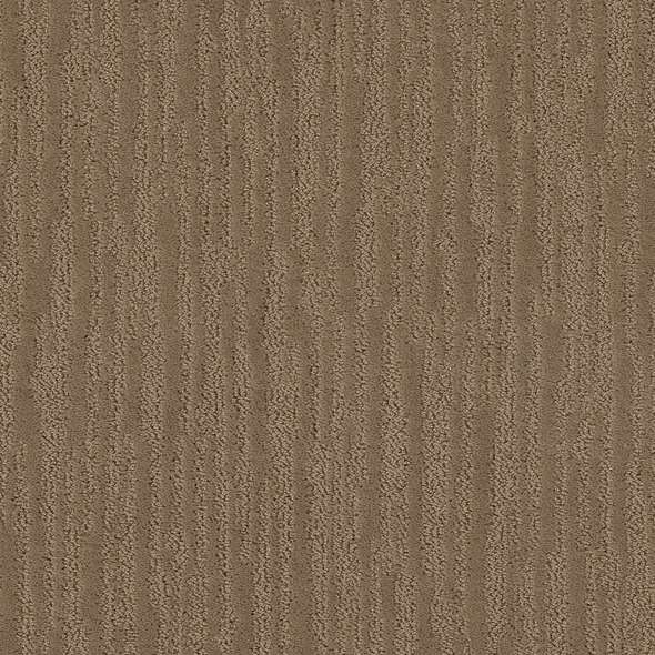 Caress - On The Horizon - Carpet Shaw Floors