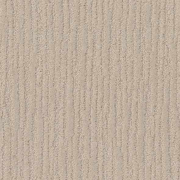 Caress - On The Horizon - Carpet Shaw Floors