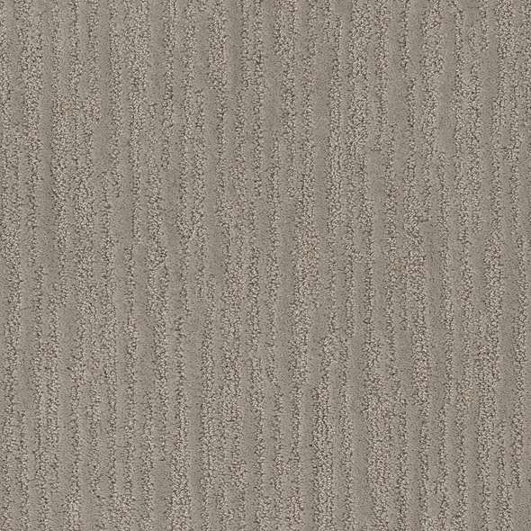 Caress - On The Horizon - Carpet Shaw Floors