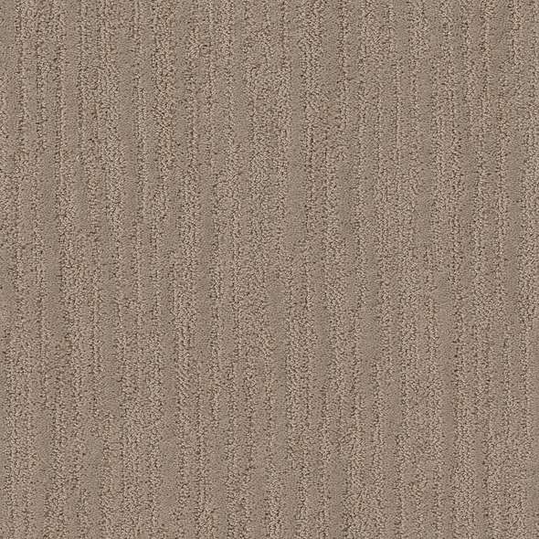 Caress - On The Horizon - Carpet Shaw Floors