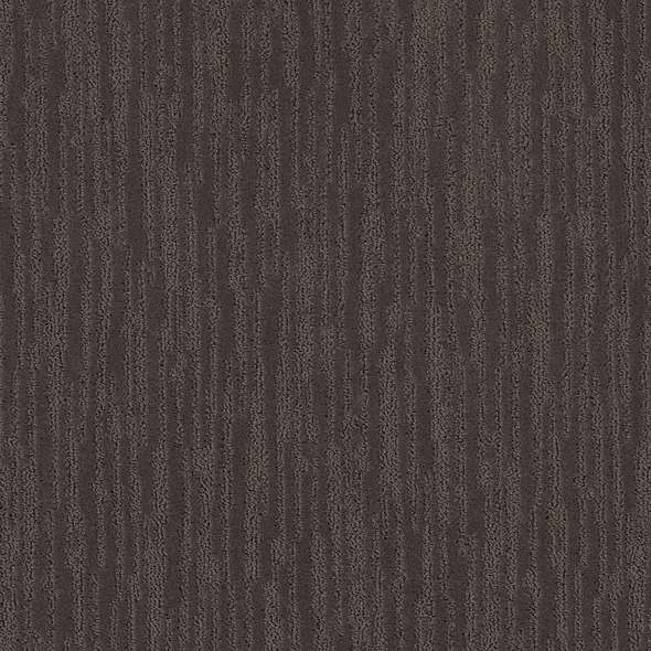 Caress - On The Horizon - Carpet Shaw Floors