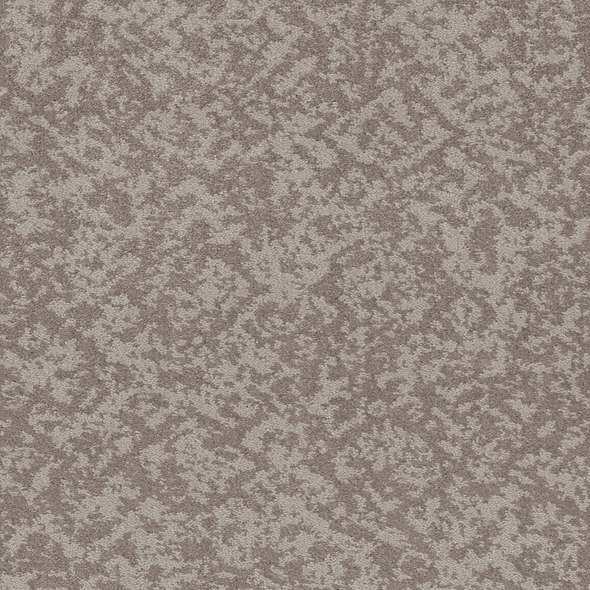 Caress - Free Spirit - Carpet Shaw Floors