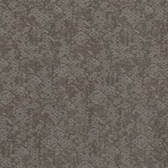 Caress - Free Spirit - Carpet Shaw Floors