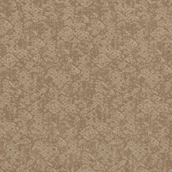 Caress - Free Spirit - Carpet Shaw Floors