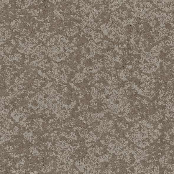 Caress - Free Spirit - Carpet Shaw Floors