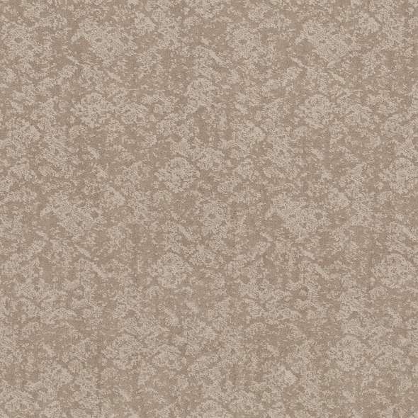 Caress - Free Spirit - Carpet Shaw Floors