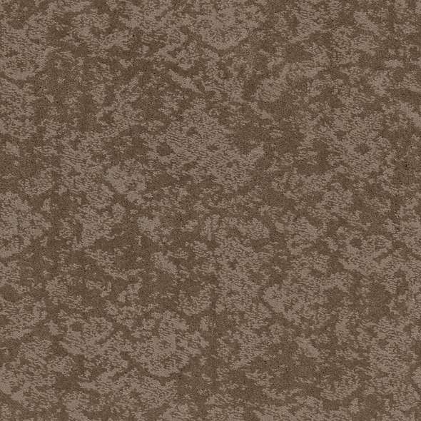 Caress - Free Spirit - Carpet Shaw Floors