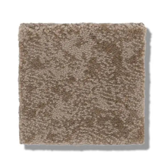 Caress - Free Spirit - Carpet Shaw Floors