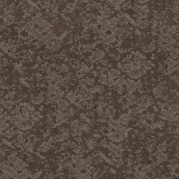 Caress - Free Spirit - Carpet Shaw Floors