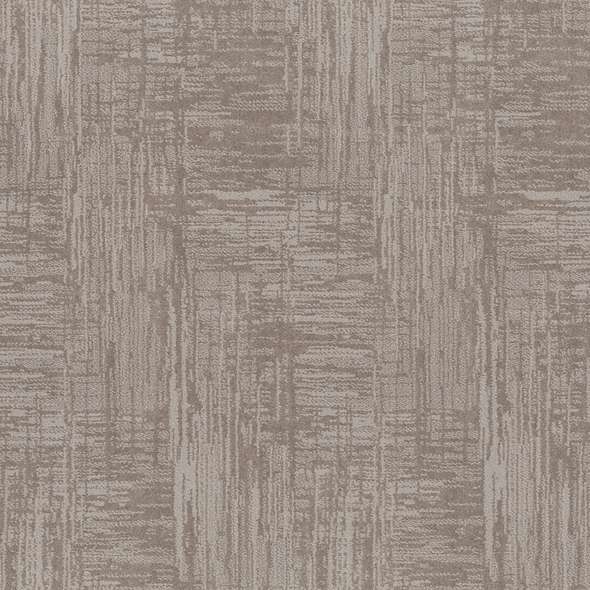 Caress - Insightful Journey - Carpet Shaw Floors