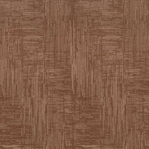 Caress - Insightful Journey - Carpet Shaw Floors