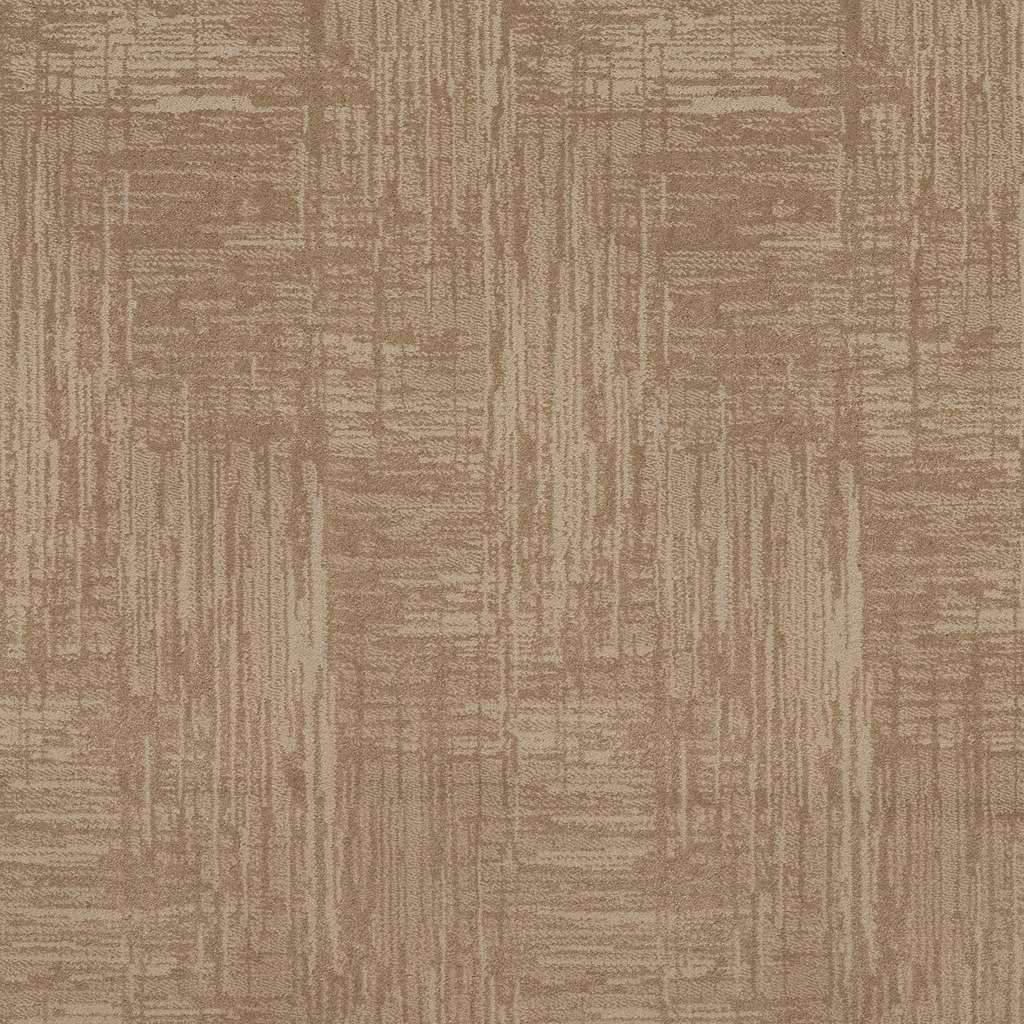 Caress - Insightful Journey - Carpet Shaw Floors