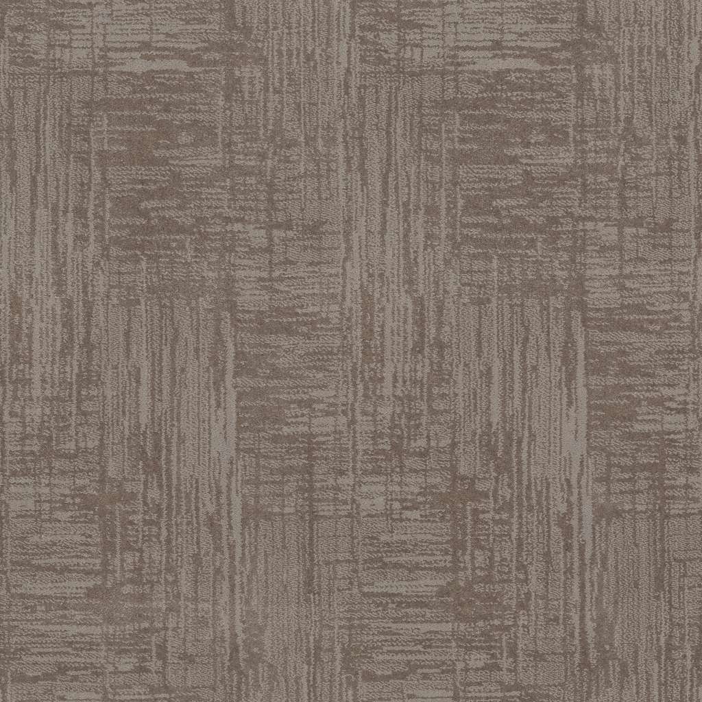 Caress - Insightful Journey - Carpet Shaw Floors