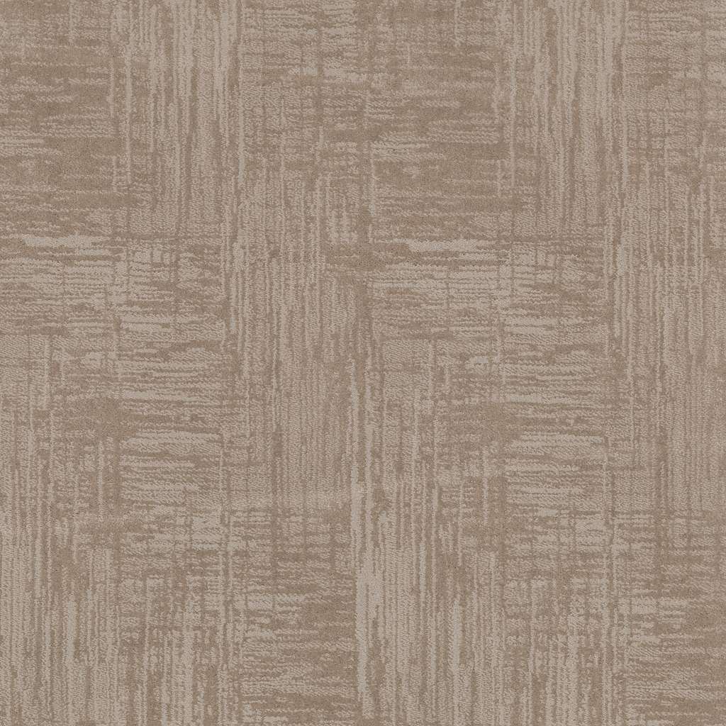 Caress - Insightful Journey - Carpet Shaw Floors