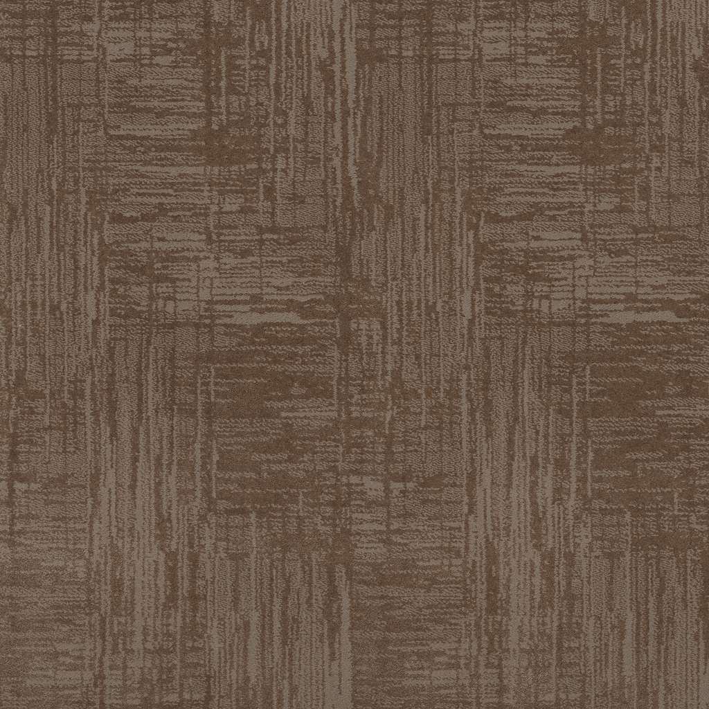 Caress - Insightful Journey - Carpet Shaw Floors