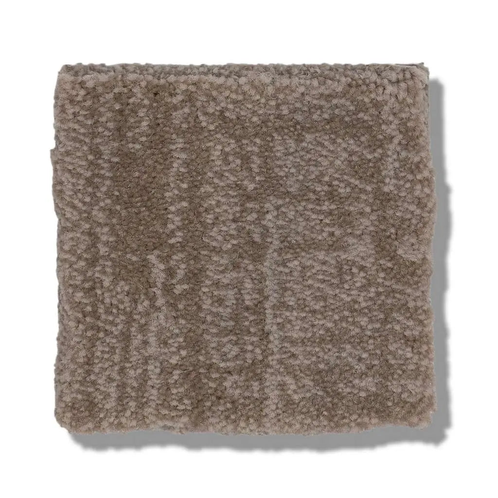Caress - Insightful Journey - Carpet Shaw Floors