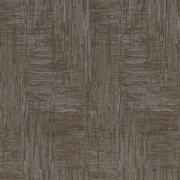 Caress - Insightful Journey - Carpet Shaw Floors