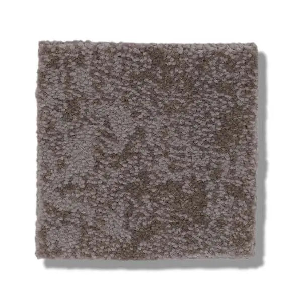 Caress - State Of Mind - Carpet Shaw Floors