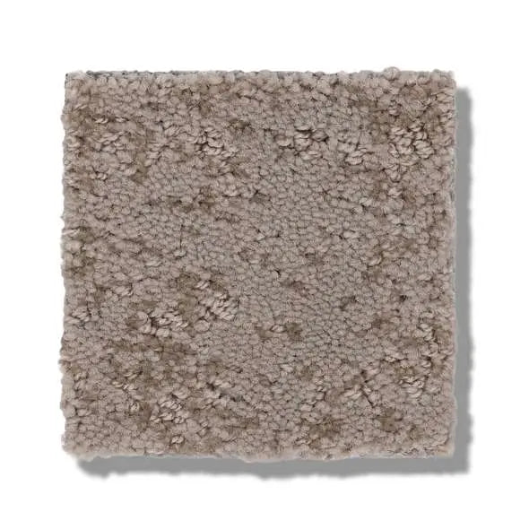 Caress - Artistic Presence - Carpet Shaw Floors