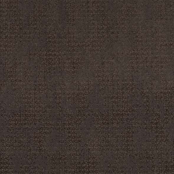 Caress - Artistic Presence - Carpet Shaw Floors