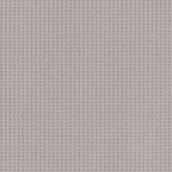 Caress - Soft Symmetry - Carpet Shaw Floors