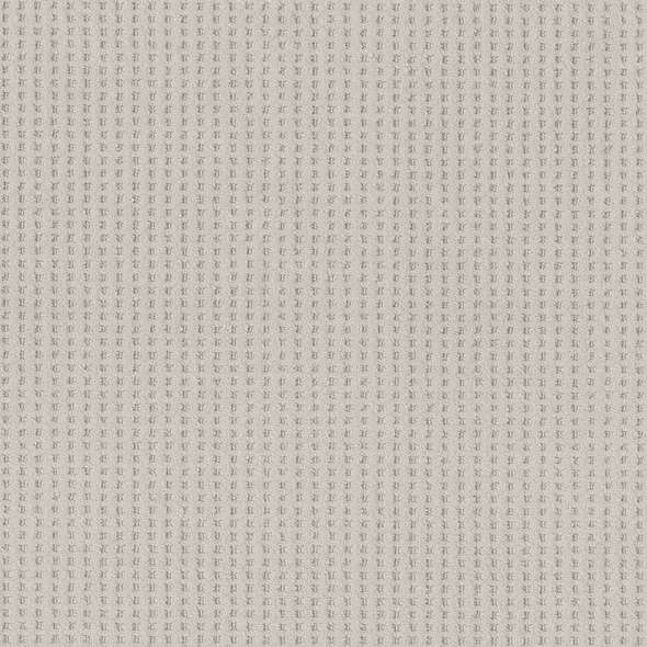 Caress - Soft Symmetry - Carpet Shaw Floors