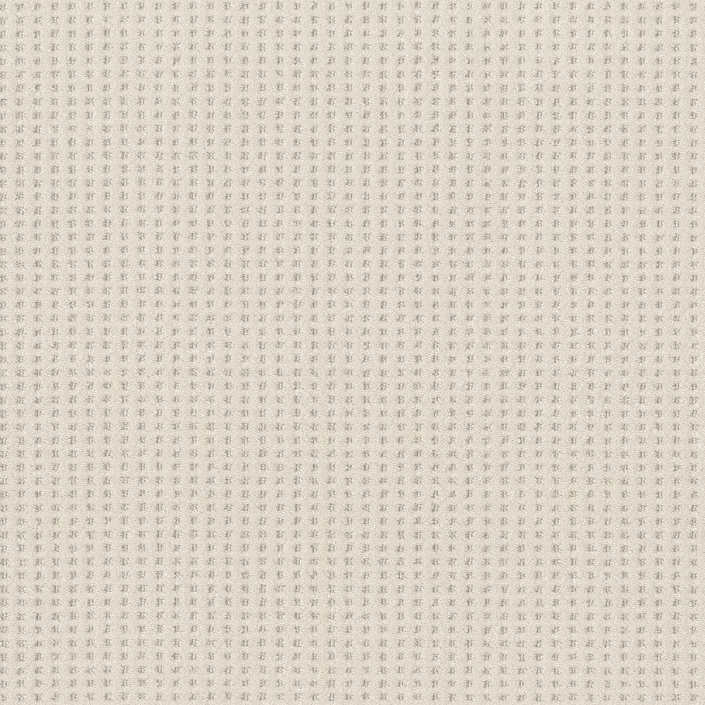 Caress - Soft Symmetry - Carpet Shaw Floors