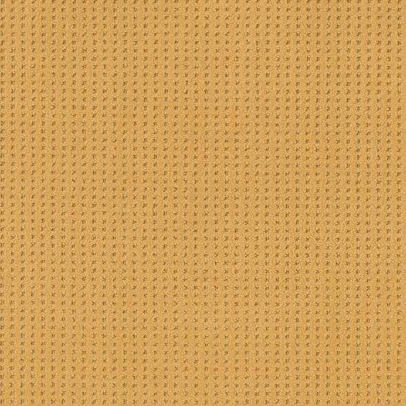 Caress - Soft Symmetry - Carpet Shaw Floors