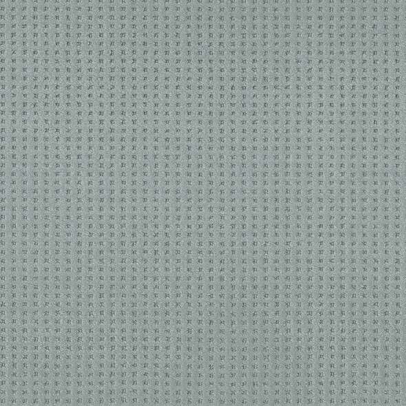 Caress - Soft Symmetry - Carpet Shaw Floors