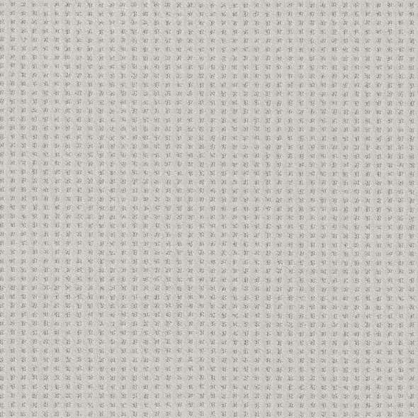 Caress - Soft Symmetry - Carpet Shaw Floors