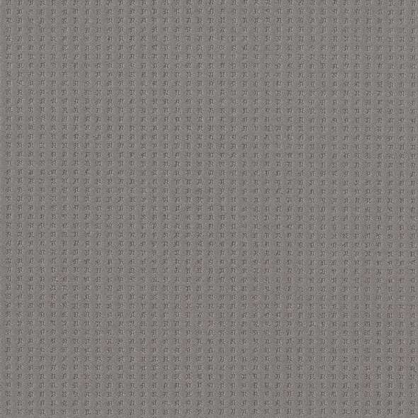 Caress - Soft Symmetry - Carpet Shaw Floors